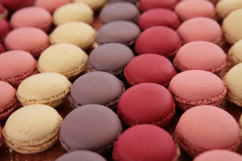 French gastronomy Incentive