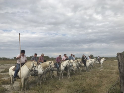 Incentive Camargue