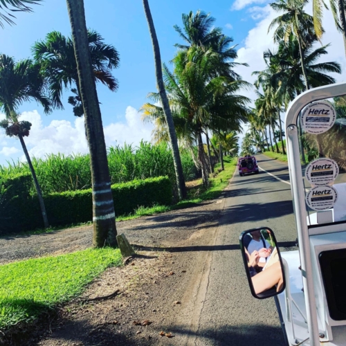 Incentive Mauritius